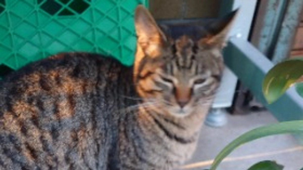 今日の23時でプロジェクト終了です。