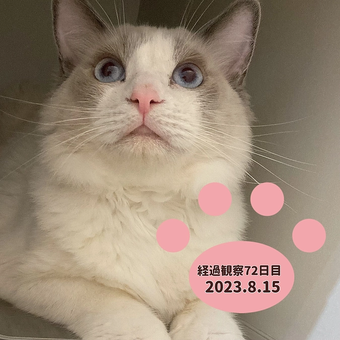経過観察72日目(2023.8.15)