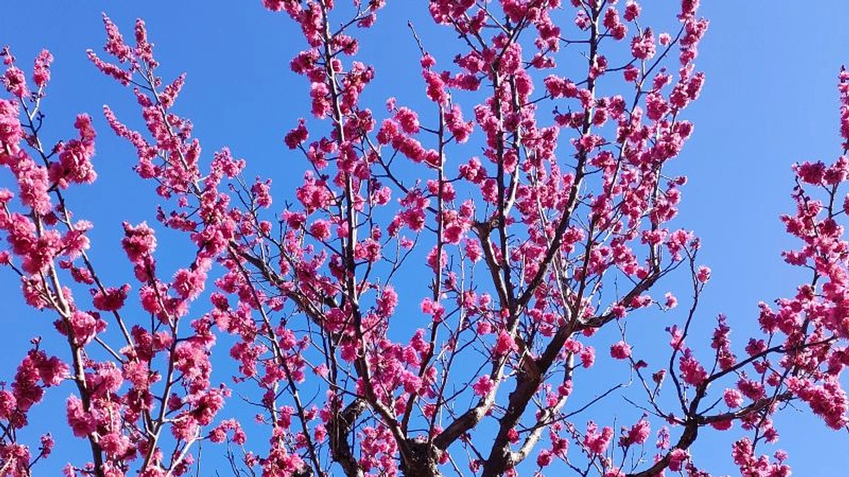 HPへご芳名掲載のお知らせと工事進捗報告