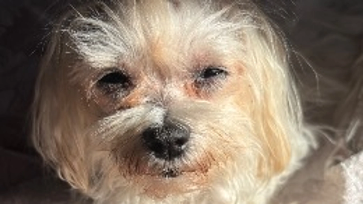 残り44日🔥あけましておめでとうございます！