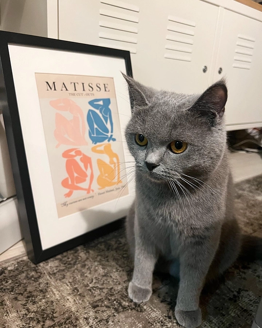 今日のドムくん