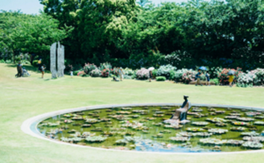 フリーパスコース