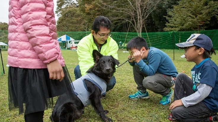 水戸に不幸な犬と猫を減らすオープンシェルターを開設したい！