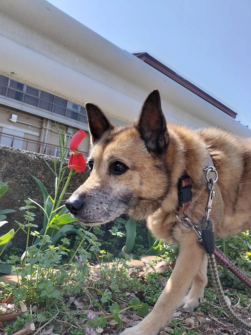 4月14日（日）プラネタリウムイベント開催日でした！！