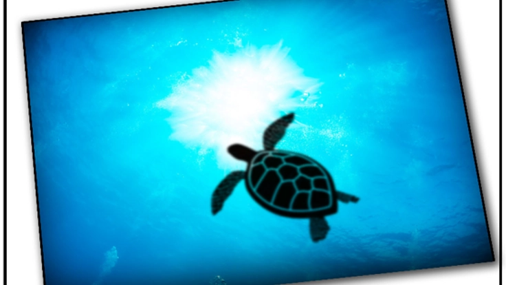 海中から見る太陽の光と色々なシルエット【ドームライト】