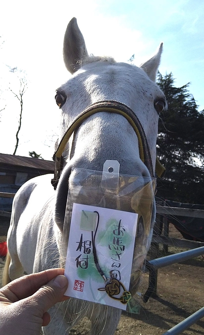 【リターンのご紹介①】お馬の水引ストラップ