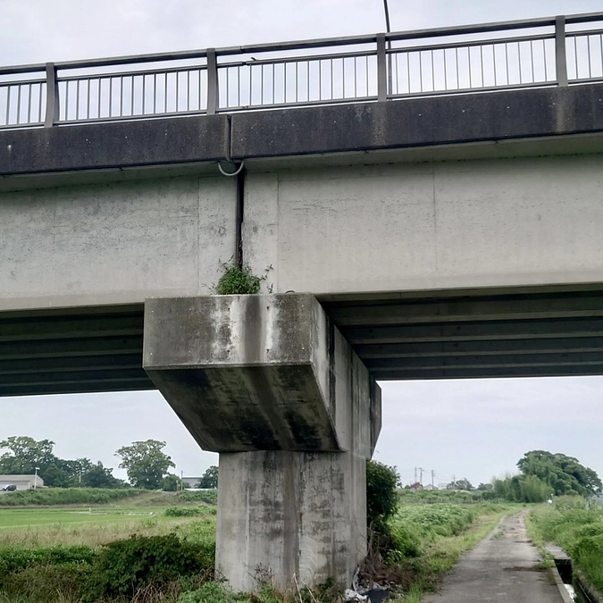 【1200万円突破‼️】子猫のレスキューがありました💦