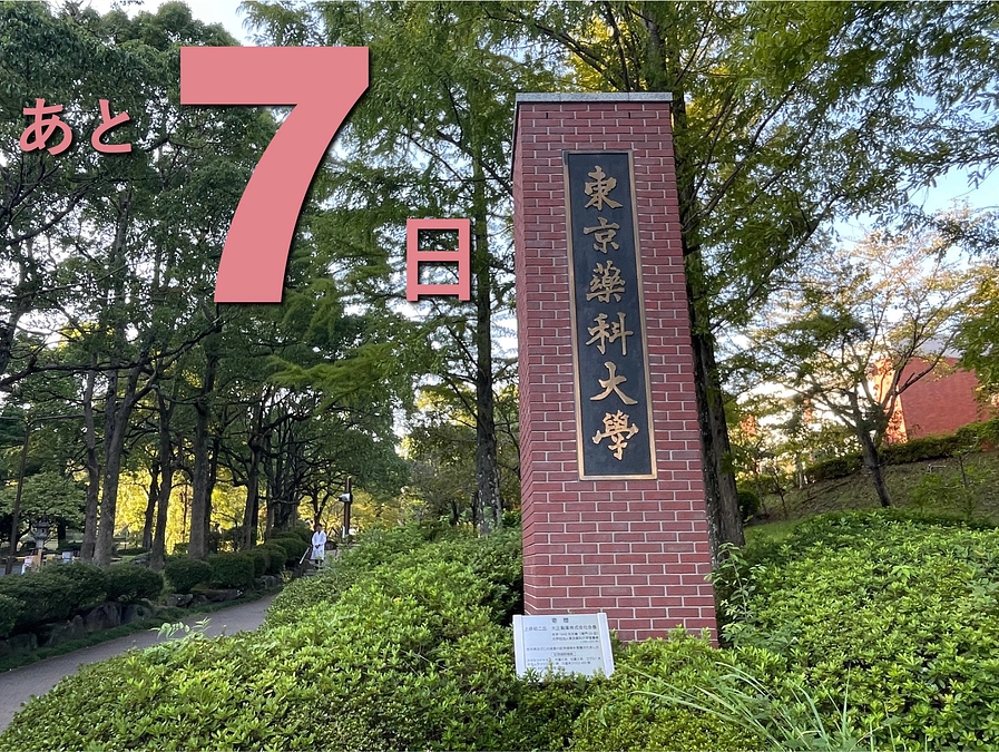 残り７日！私たちの想い