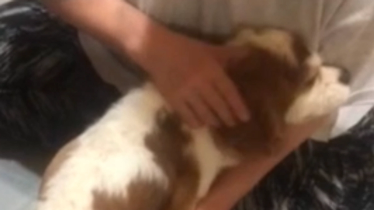 術後13日目、ついに退院👏