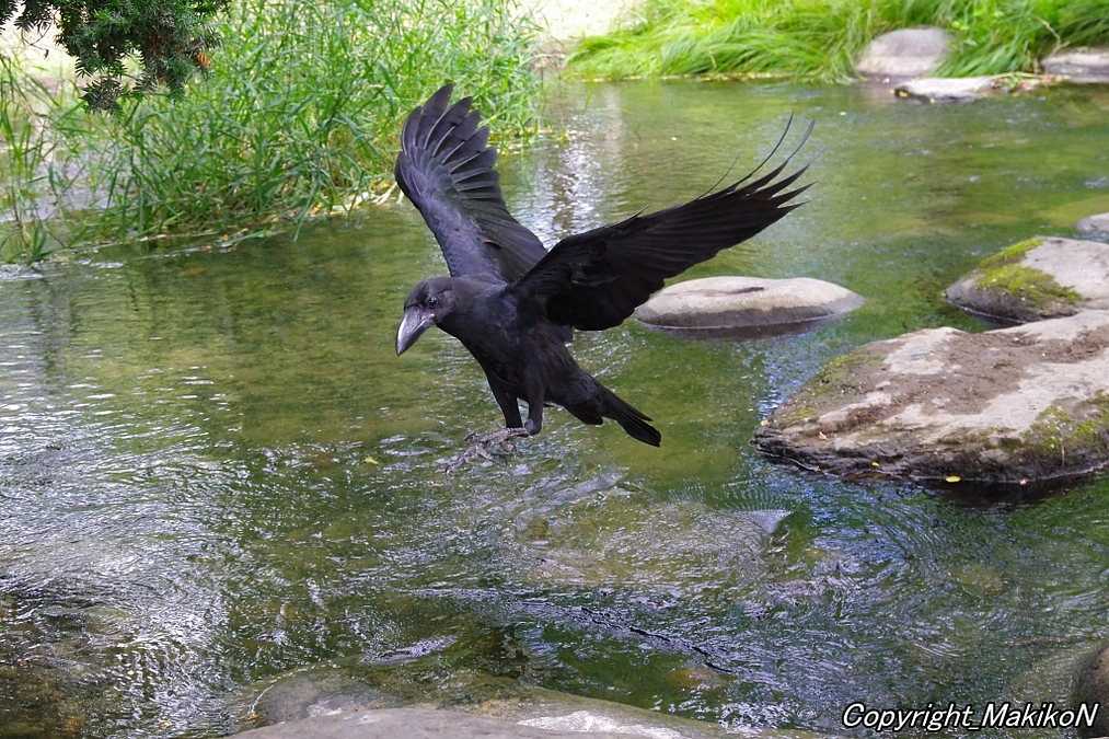 大阪でイベントなど