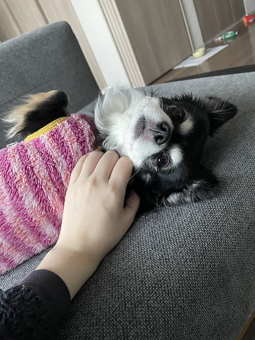 まめの可愛いところ②