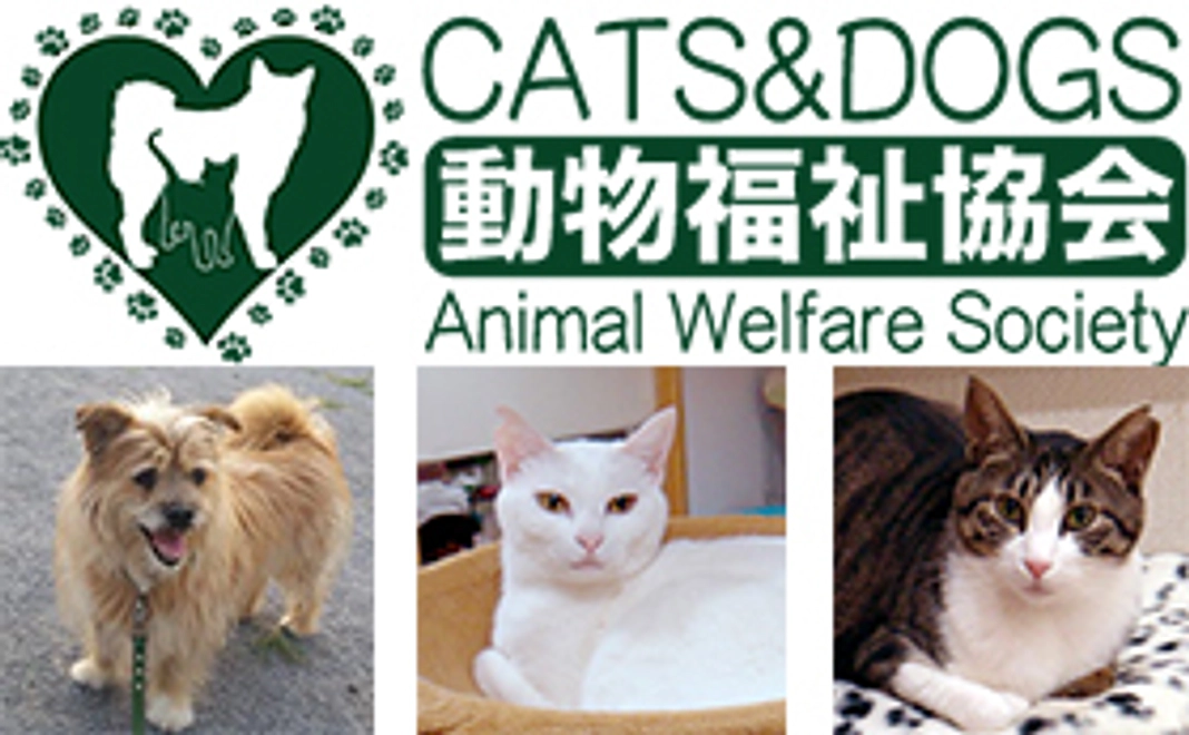 ◆CATS&DOGS動物福祉協会の活動を応援！！