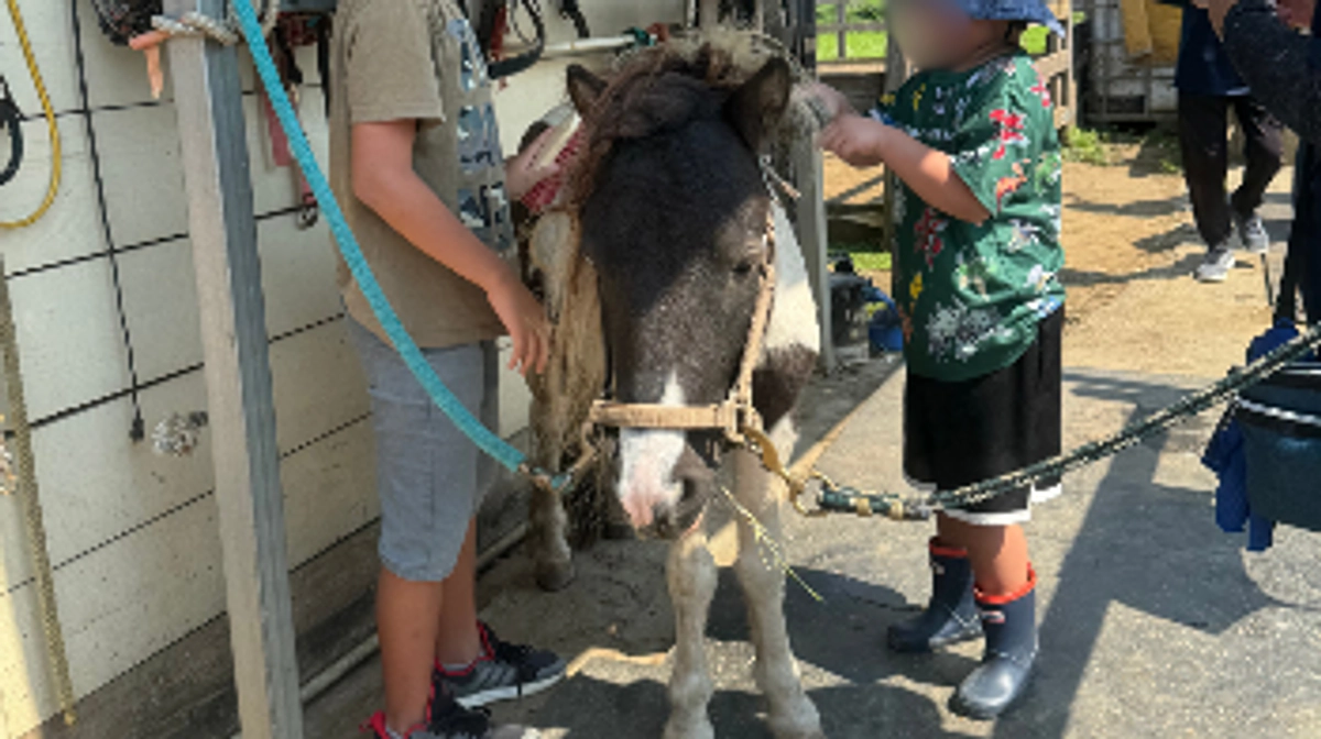 土曜日恒例の牧場体験!