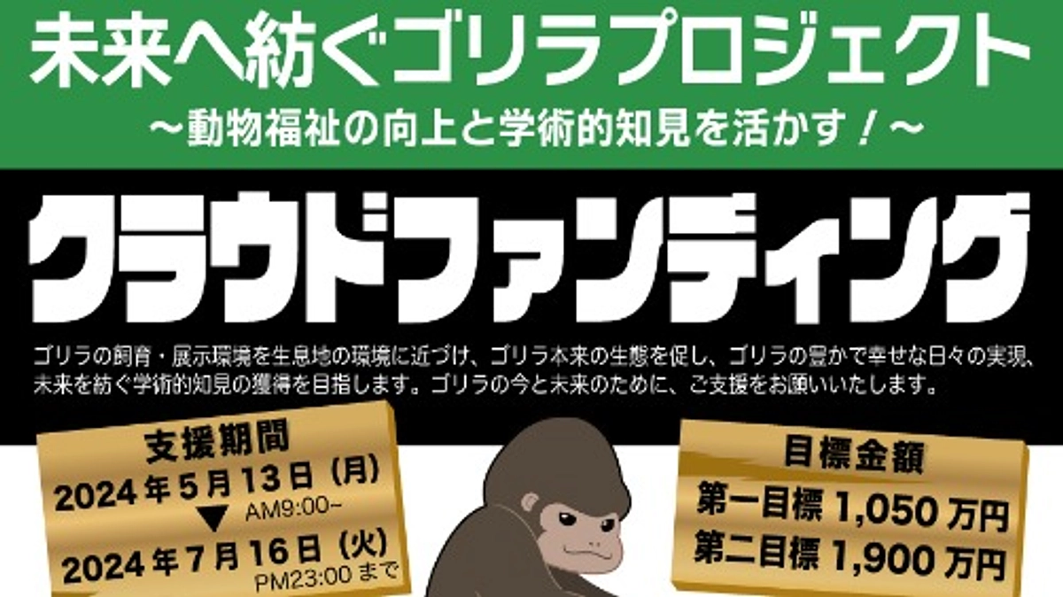 【立ち上がろうゴリラのために！！】ゴリラクラウドファンディング実施のお知らせ