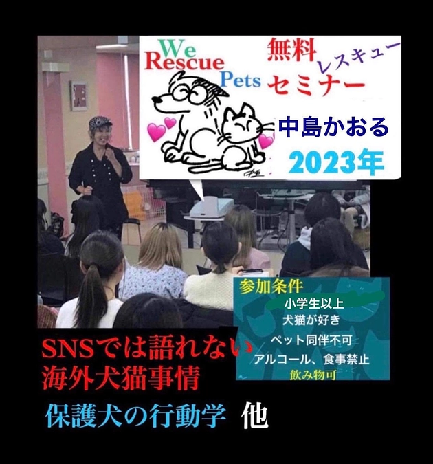 無料レスキューセミナー開催します