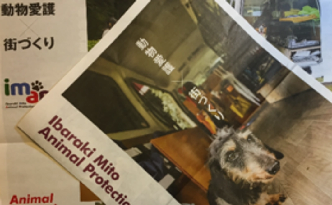 シェルターオープン後の活動報告をお送りします