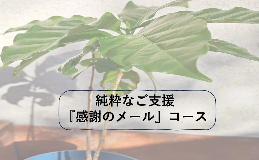 純粋なご支援『感謝のメール』　500円コース