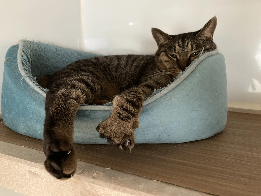 初めてのクラウドファンディングにご支援ご協力ありがとうございました