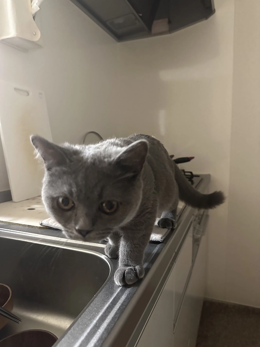 9月の支援のお礼とお願い