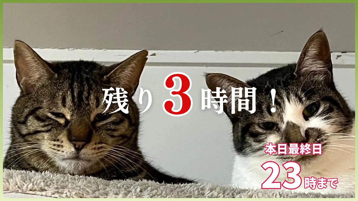 残り3時間｜拡散のご協力も、たくさんの応援コメントも私たちの力になっています