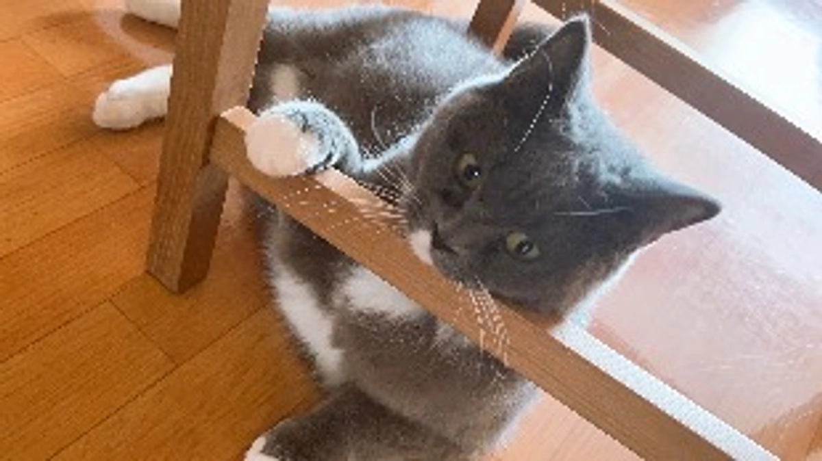 8月12日のプルート