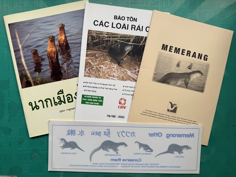 日本アジアカワウソ保全協会の設立前　～日本発の国際的なカワウソ保全活動～