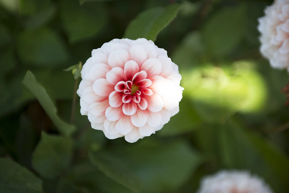 誰にもその怒りをぶつけることができない