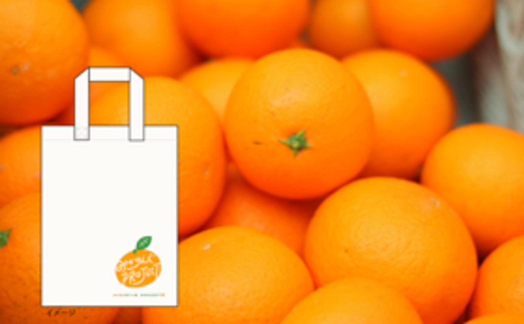 【生の柑橘が欲しい方】あま～い訳あり柑橘（約10㎏）＆トートバック＋みかん便り