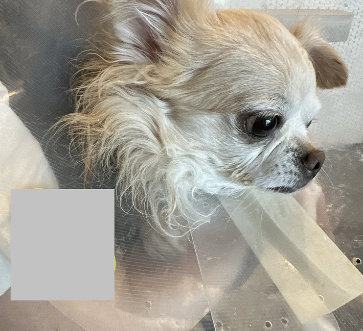 8/9面会に行ってきました。。