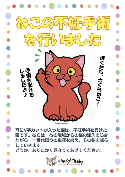 TNRの終わった場所にポスターを掲示しました。