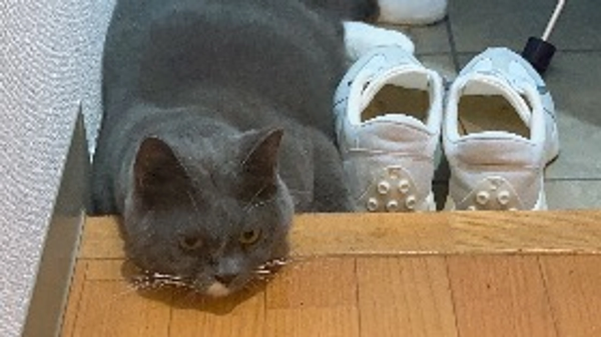 リターン要否のチェック項目につきまして