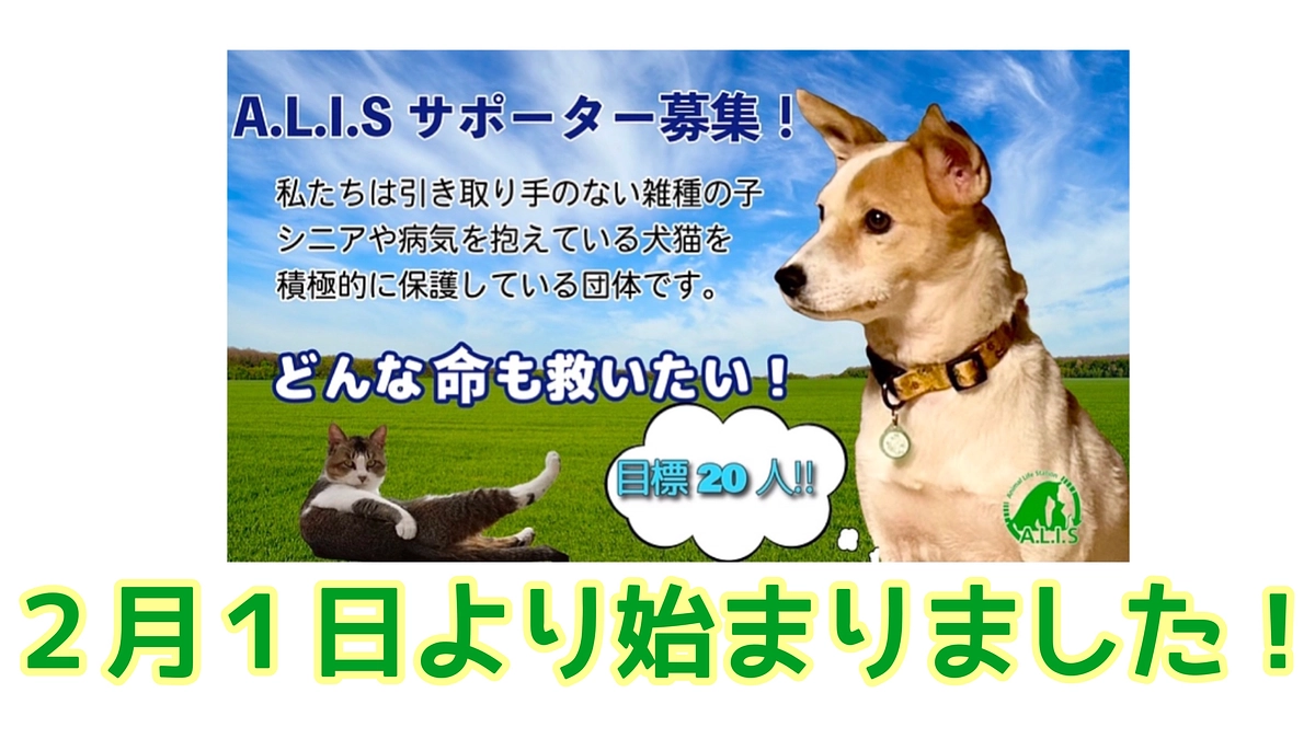 A.L.I.Sサポーター　目標20名❣️