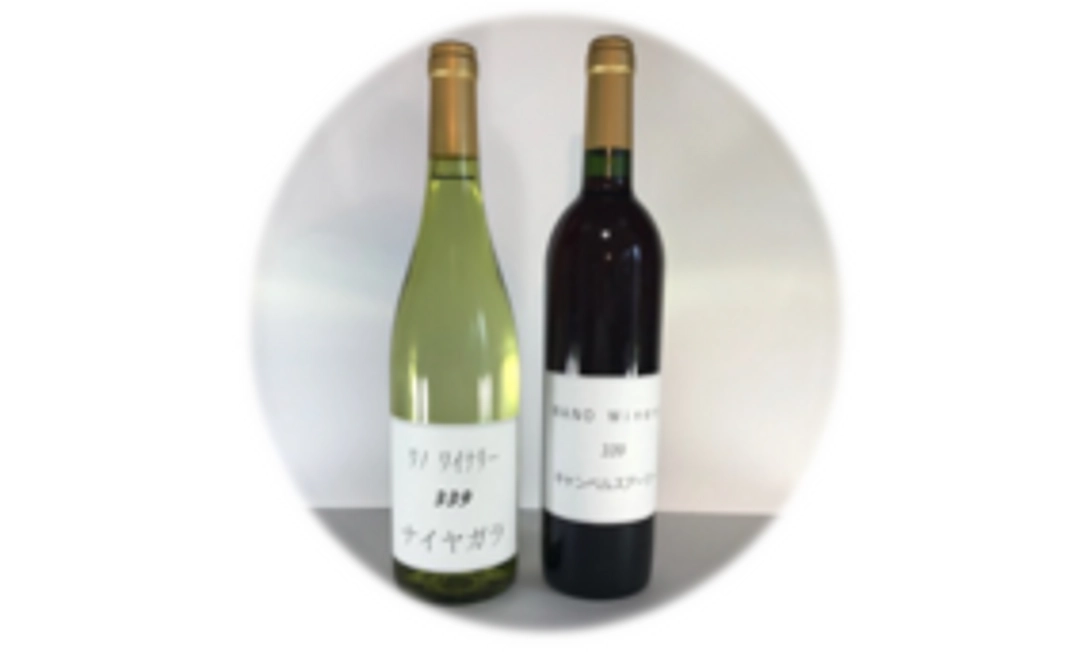 2018青森ヌーヴォー２本コース