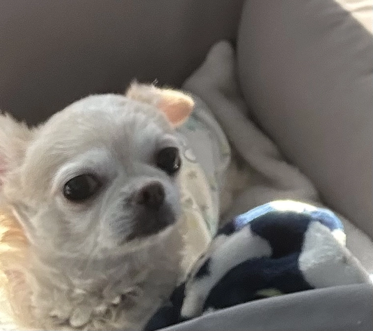 2/10術後６か月検診に行ってきました。