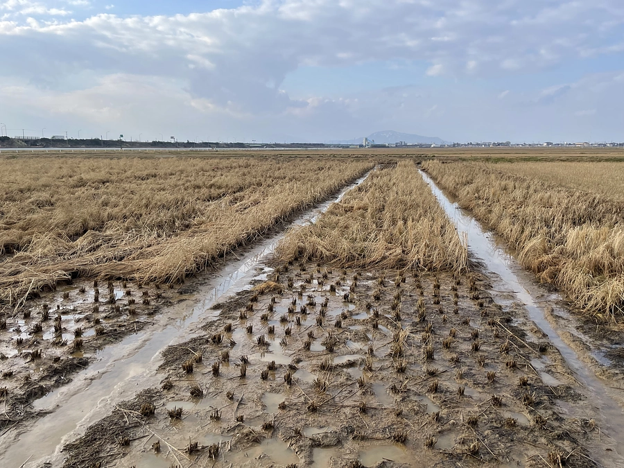 本年大変お世話になりました。活動報告をオンラインで企画しています。