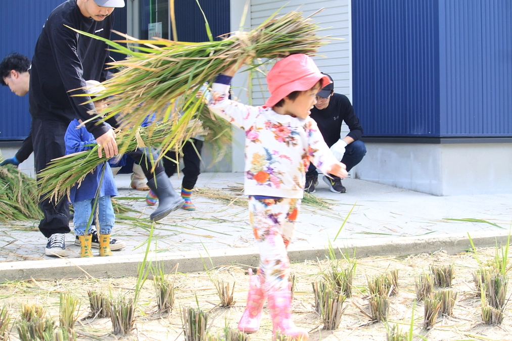 【第四回】稲刈り体験＆牛の見学・鴨とのふれ合いを実施しました！