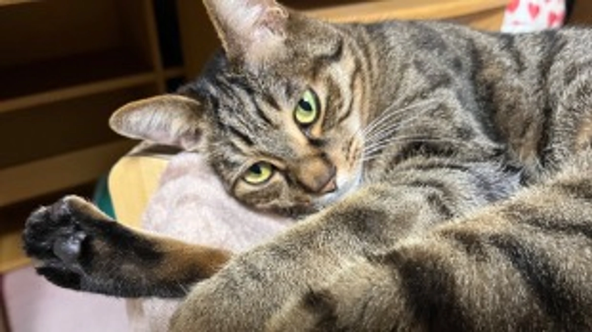 【今日のなっちゃん】6月5日