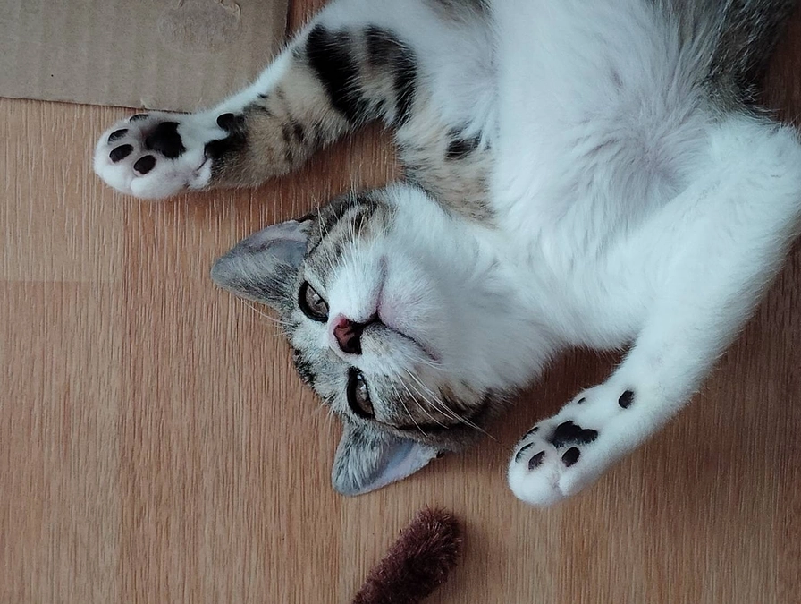 あと１日ー！！