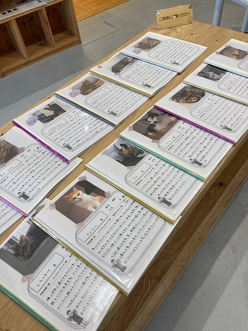 【みれいちゃん】半年後の家庭訪問・明日の【星空ねこお見合い会】について