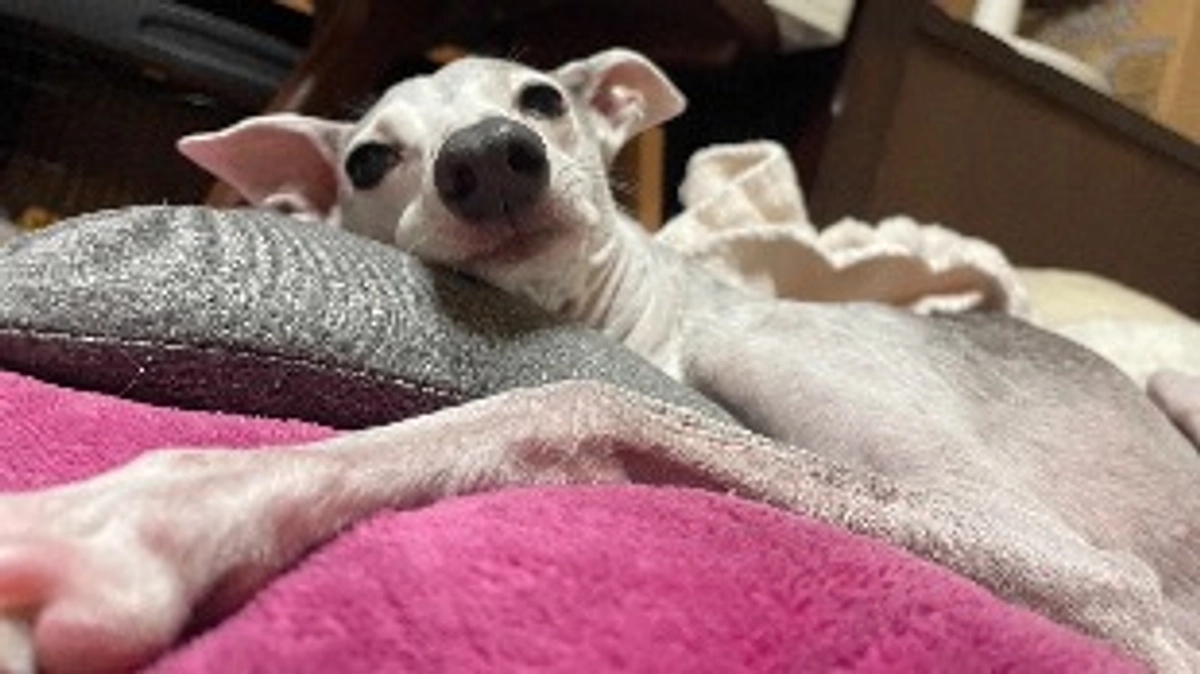 残り4日🗓️達成率28%⏰💦