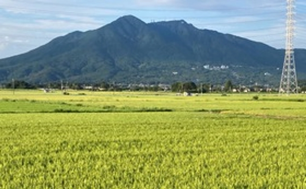 感謝のメールを送らせて頂きます。