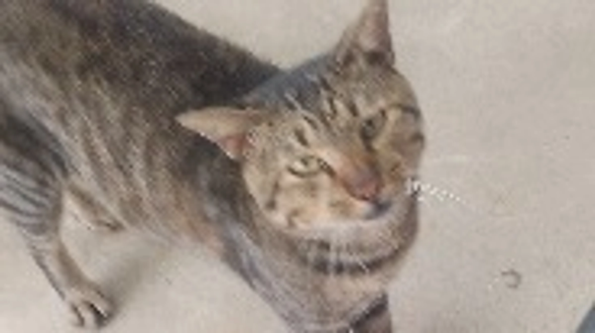 心地よい風を受けながら寝てます