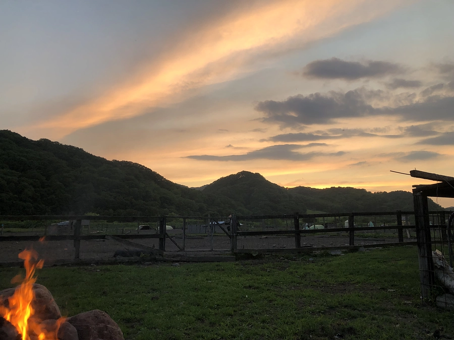 プロジェクトのその後