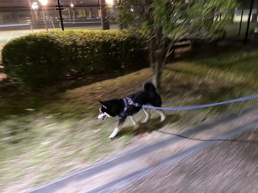 白血球数が半分に……