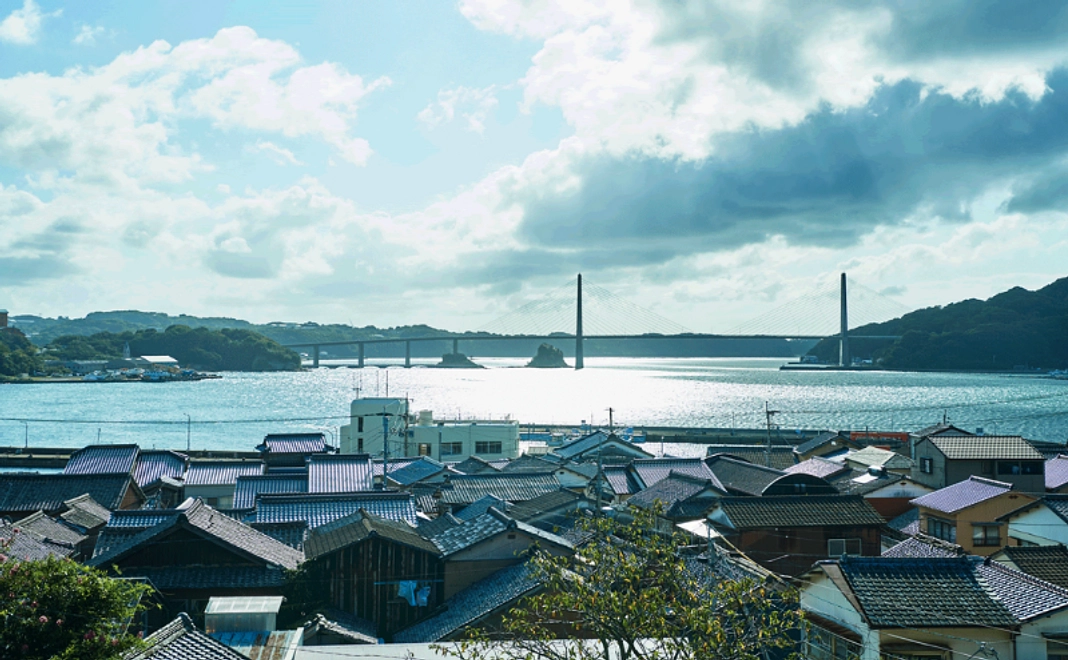 純粋応援|10万円