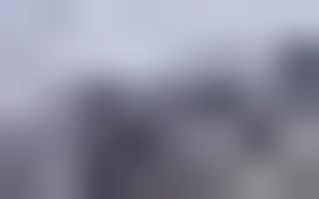 現地支援スタッフからのルポ