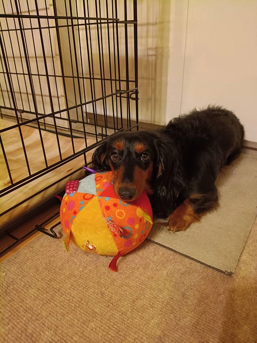 【最後の発症から3か月】