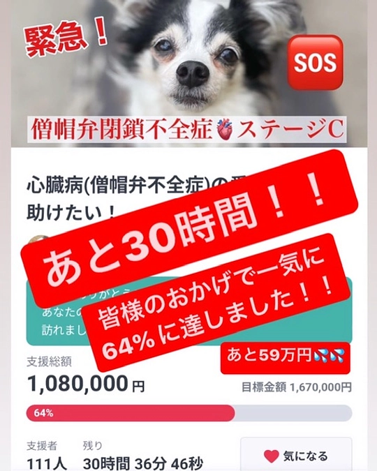 あと28時間‼️まだ諦めません❗️