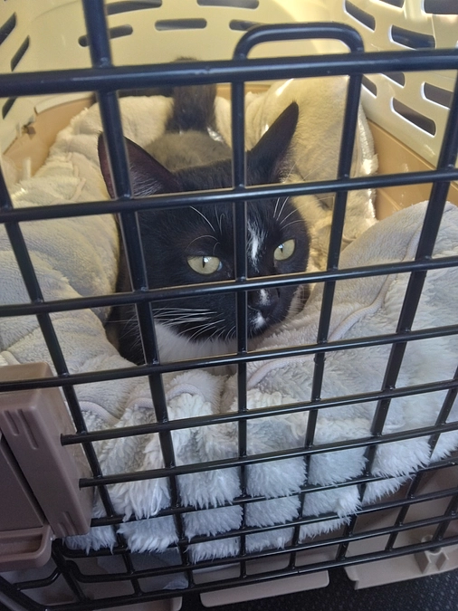 6/4はなちゃんの様子