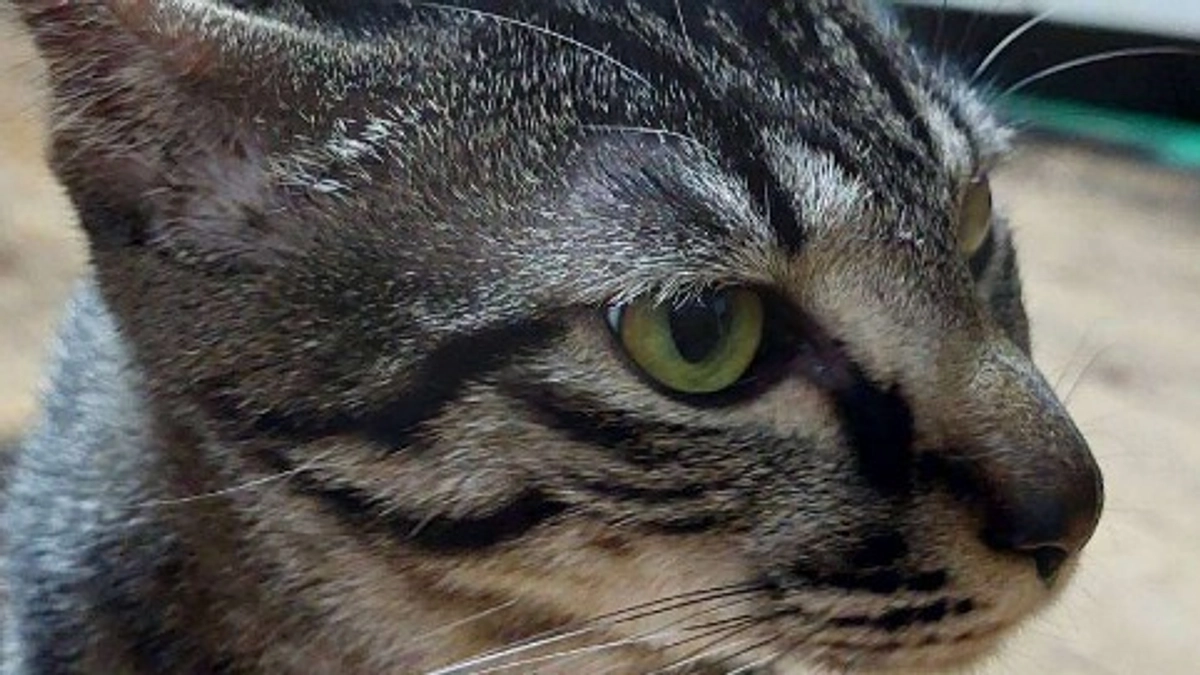 楓日記(9月20日)